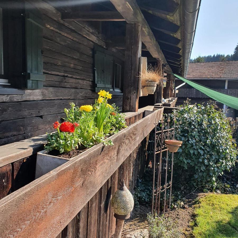 Naturidyll Kollnbergmuehle Furstenstein Bagian luar foto